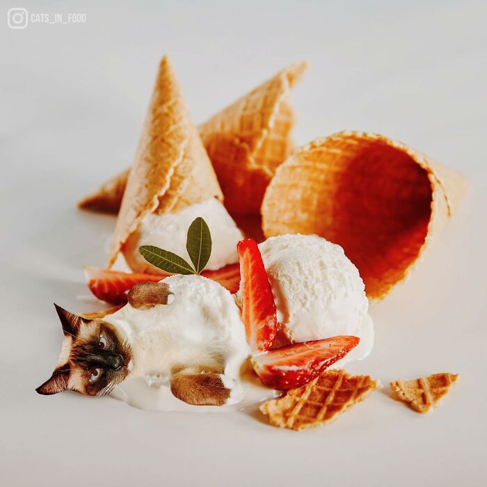 In An Oddly Cute Way, This Artist Keeps Pairing Cats With Food (New Pics)