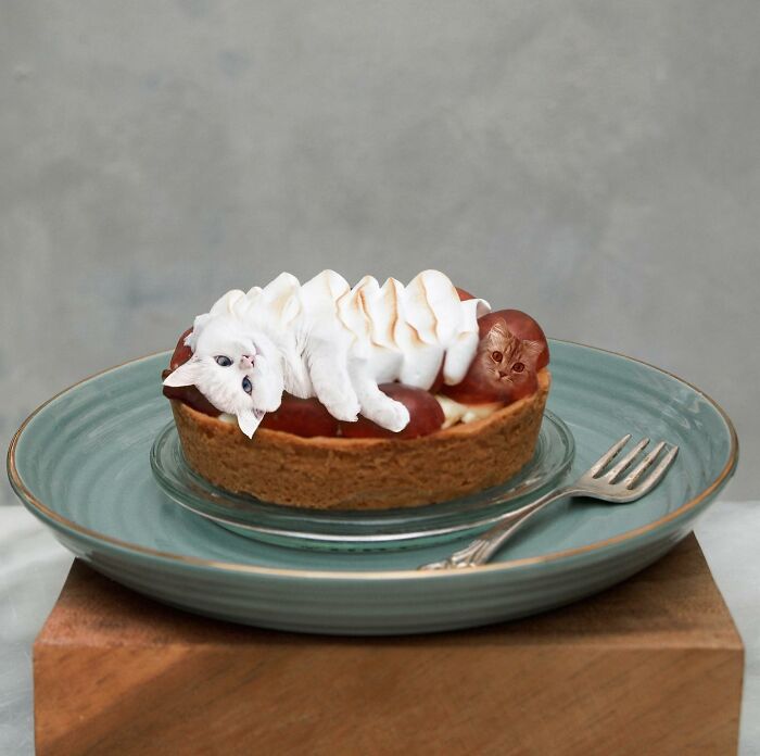 In An Oddly Cute Way, This Artist Keeps Pairing Cats With Food (New Pics)