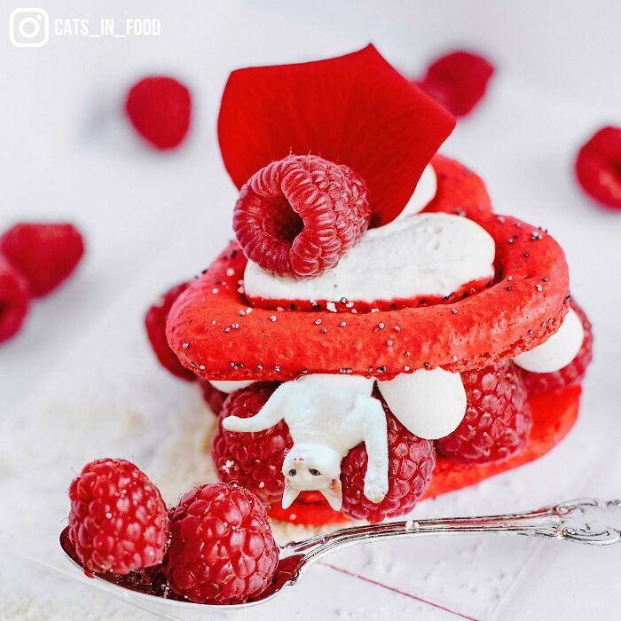 In An Oddly Cute Way, This Artist Keeps Pairing Cats With Food (New Pics)