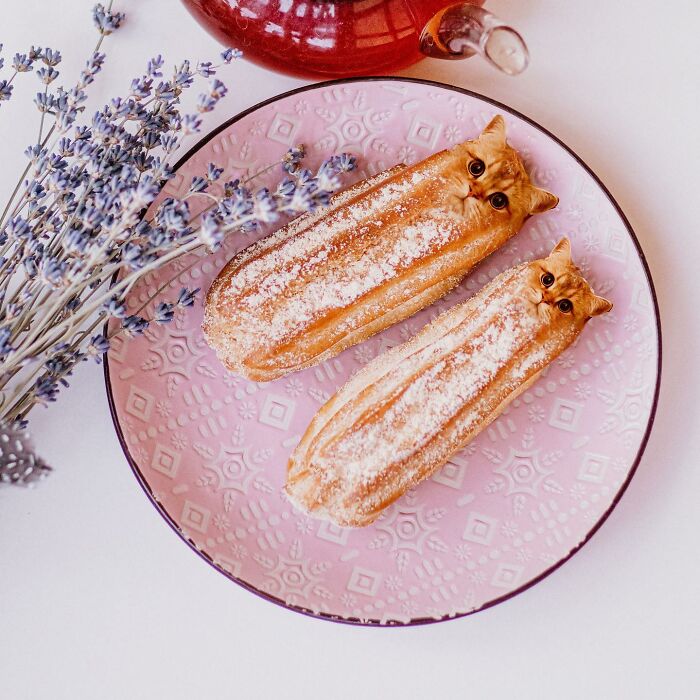 In An Oddly Cute Way, This Artist Keeps Pairing Cats With Food (New Pics)