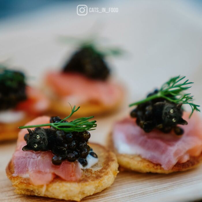 In An Oddly Cute Way, This Artist Keeps Pairing Cats With Food (New Pics)