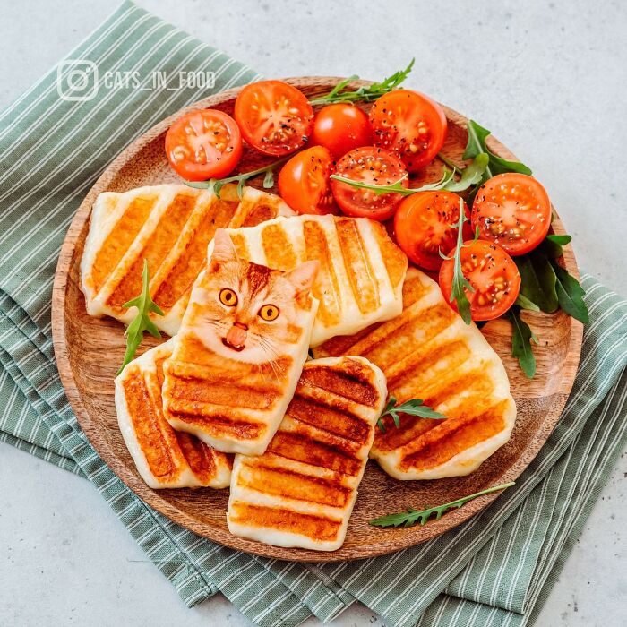 In An Oddly Cute Way, This Artist Keeps Pairing Cats With Food (New Pics)