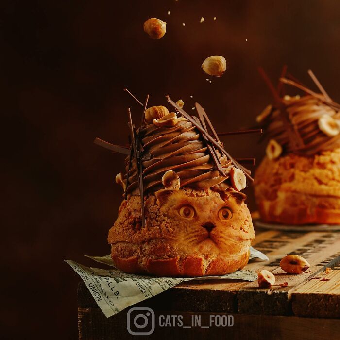 In An Oddly Cute Way, This Artist Keeps Pairing Cats With Food (New Pics)