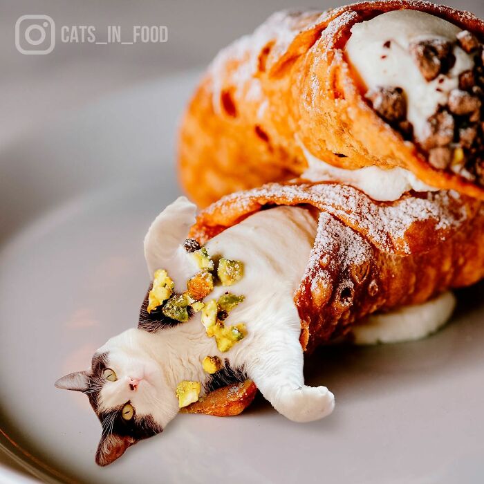 In An Oddly Cute Way, This Artist Keeps Pairing Cats With Food (New Pics)
