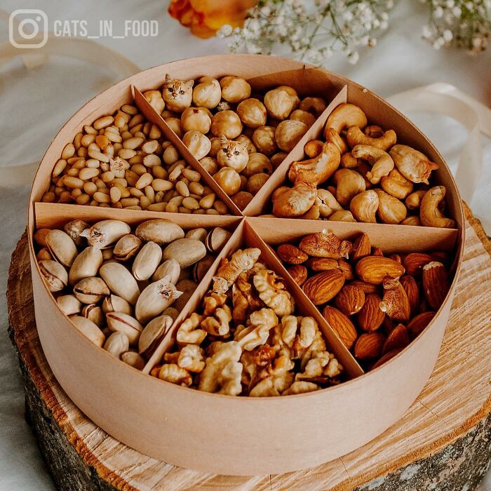 In An Oddly Cute Way, This Artist Keeps Pairing Cats With Food (New Pics)