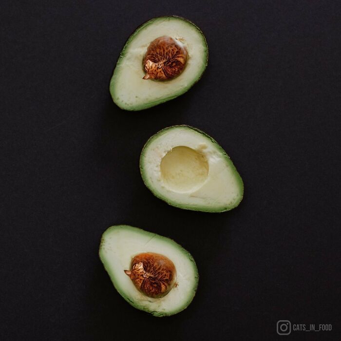 In An Oddly Cute Way, This Artist Keeps Pairing Cats With Food (New Pics)