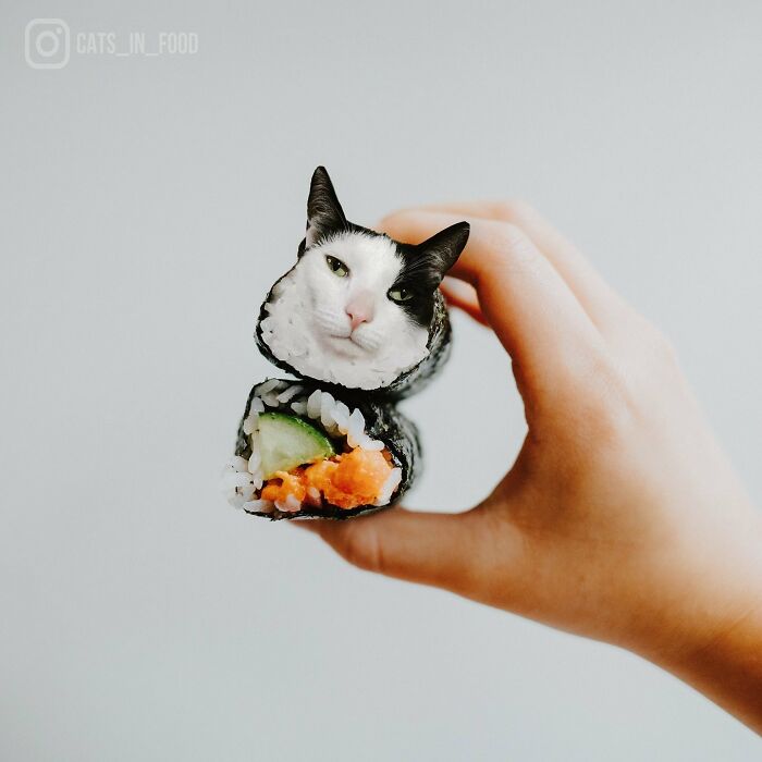In An Oddly Cute Way, This Artist Keeps Pairing Cats With Food (New Pics)