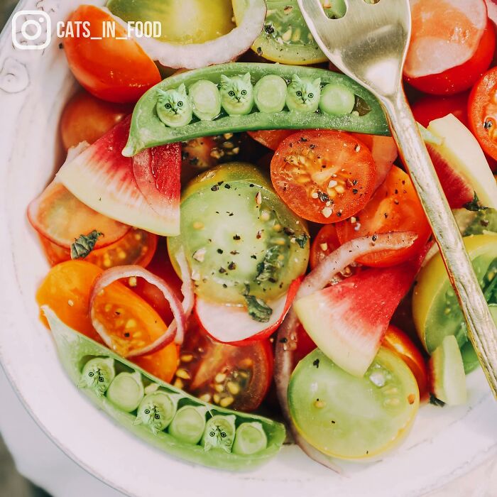 In An Oddly Cute Way, This Artist Keeps Pairing Cats With Food (New Pics)