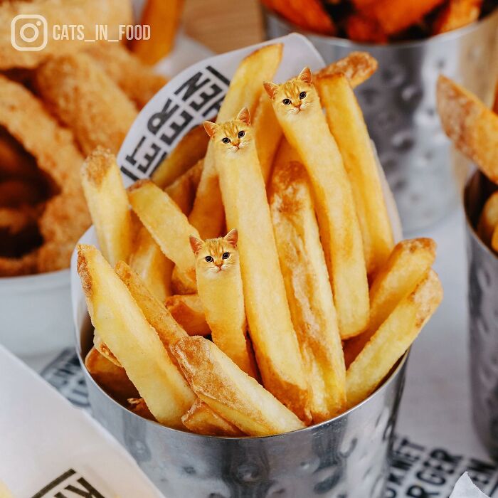 In An Oddly Cute Way, This Artist Keeps Pairing Cats With Food (New Pics)