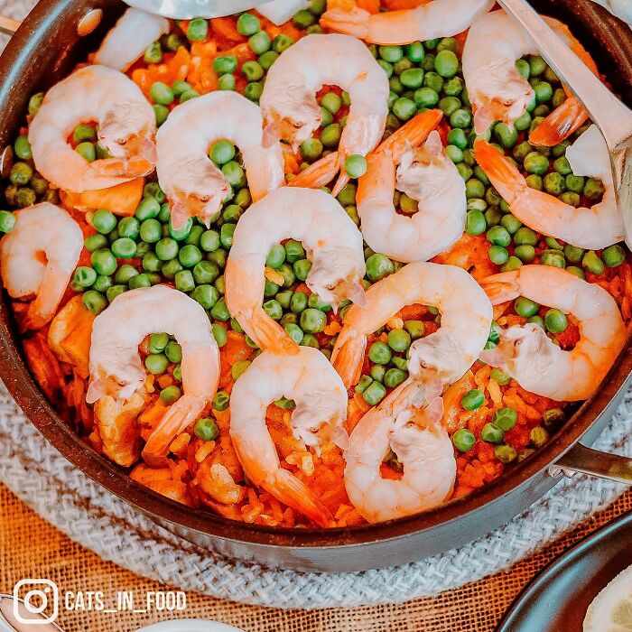 In An Oddly Cute Way, This Artist Keeps Pairing Cats With Food (New Pics)