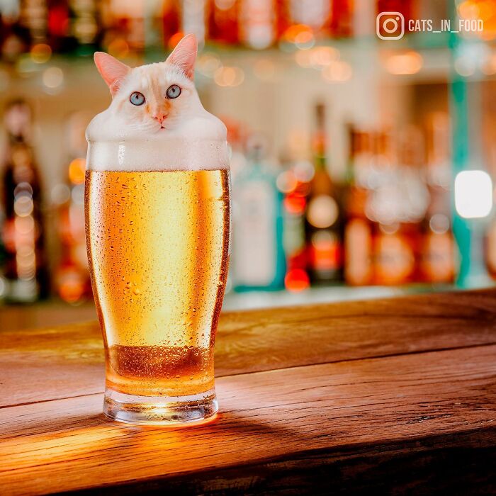 In An Oddly Cute Way, This Artist Keeps Pairing Cats With Food (New Pics)