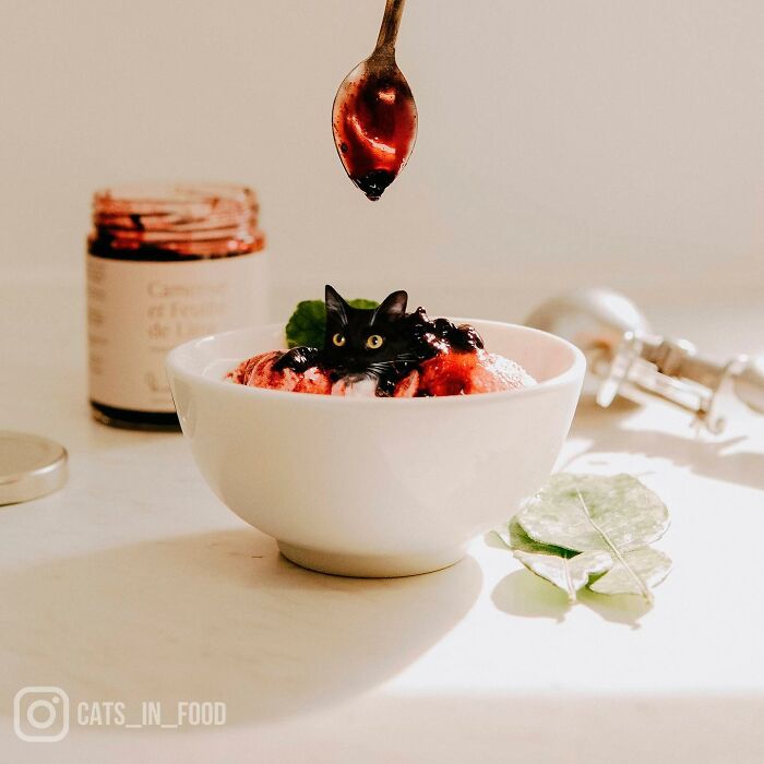 In An Oddly Cute Way, This Artist Keeps Pairing Cats With Food (New Pics)