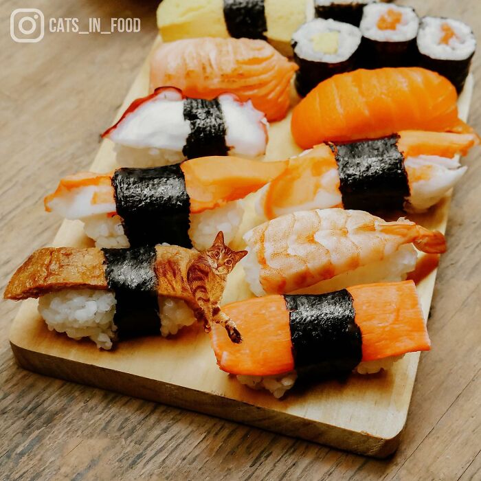 In An Oddly Cute Way, This Artist Keeps Pairing Cats With Food (New Pics)