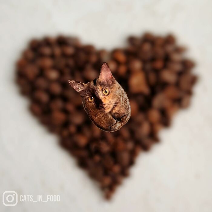 In An Oddly Cute Way, This Artist Keeps Pairing Cats With Food (New Pics)