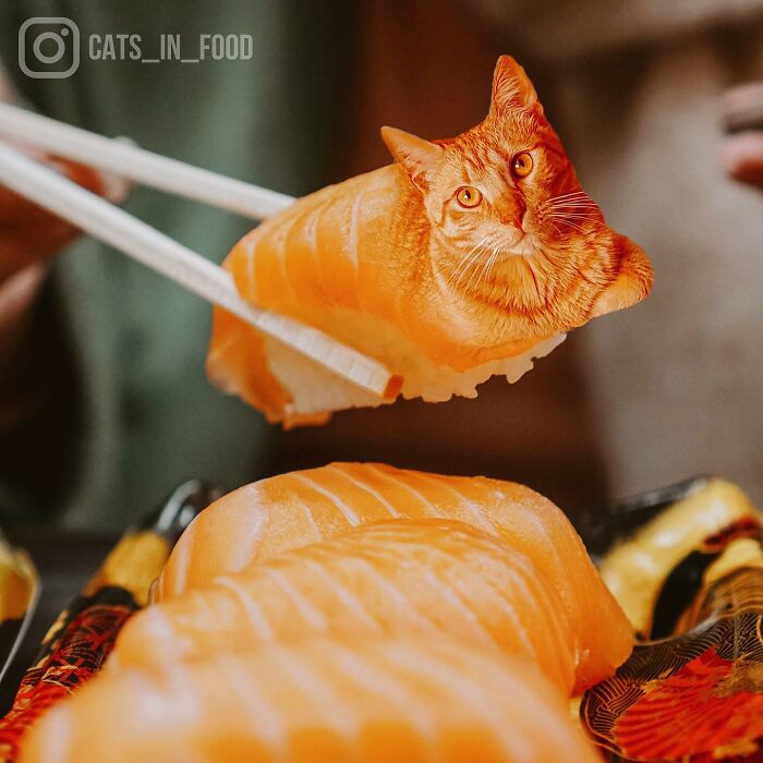 In An Oddly Cute Way, This Artist Keeps Pairing Cats With Food (New Pics)