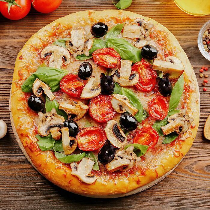 In An Oddly Cute Way, This Artist Keeps Pairing Cats With Food (New Pics)