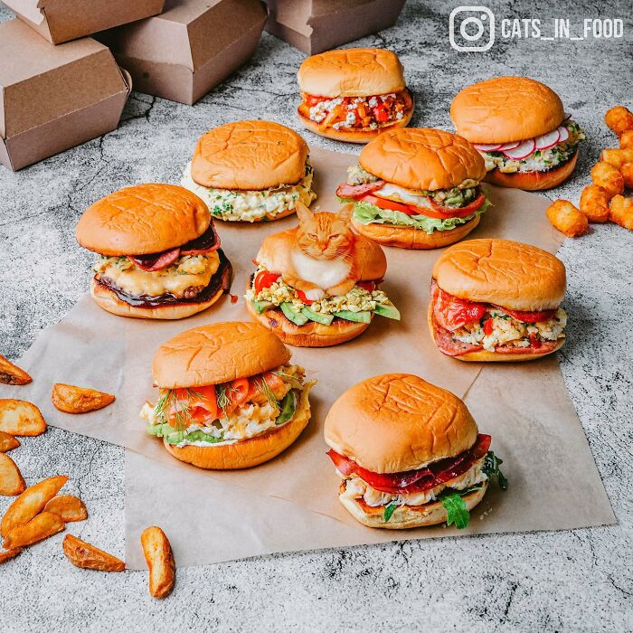 In An Oddly Cute Way, This Artist Keeps Pairing Cats With Food (New Pics)