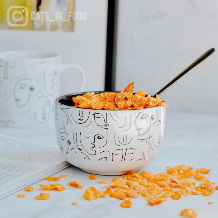 In An Oddly Cute Way, This Artist Keeps Pairing Cats With Food (New Pics)