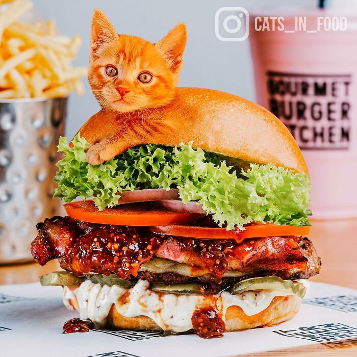In An Oddly Cute Way, This Artist Keeps Pairing Cats With Food (New Pics)