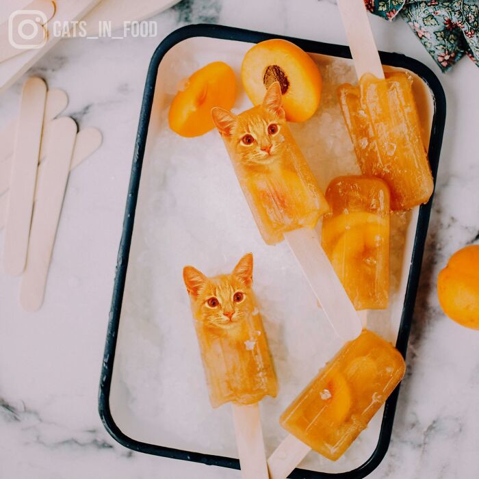 In An Oddly Cute Way, This Artist Keeps Pairing Cats With Food (New Pics)