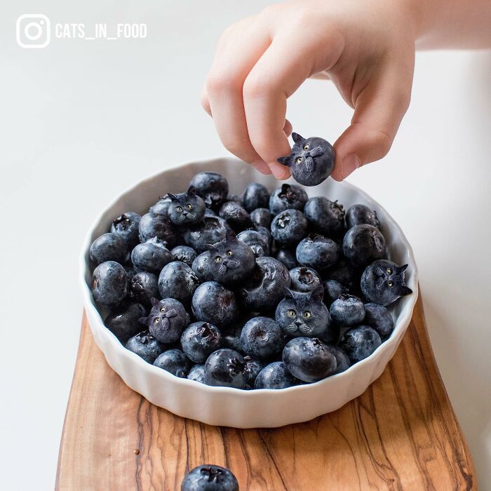 In An Oddly Cute Way, This Artist Keeps Pairing Cats With Food (New Pics)