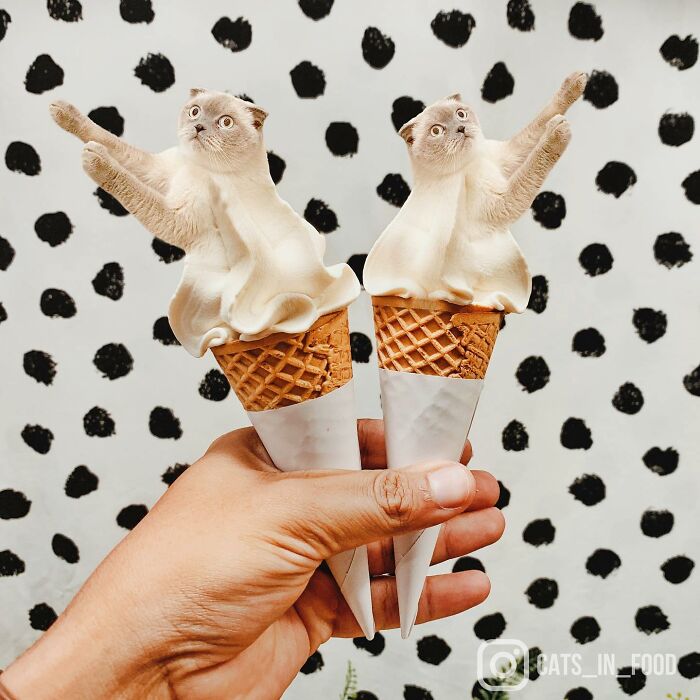 In An Oddly Cute Way, This Artist Keeps Pairing Cats With Food (New Pics)