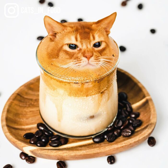 In An Oddly Cute Way, This Artist Keeps Pairing Cats With Food (New Pics)
