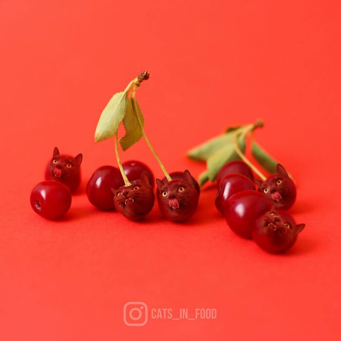 In An Oddly Cute Way, This Artist Keeps Pairing Cats With Food (New Pics)