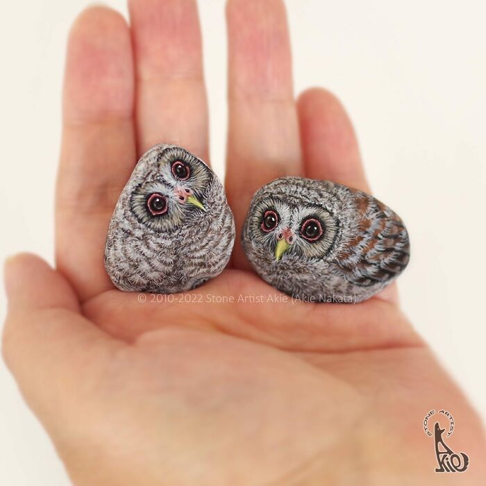 Japanese Artist Turns Rocks Into Cute Little Animals (New Pics)