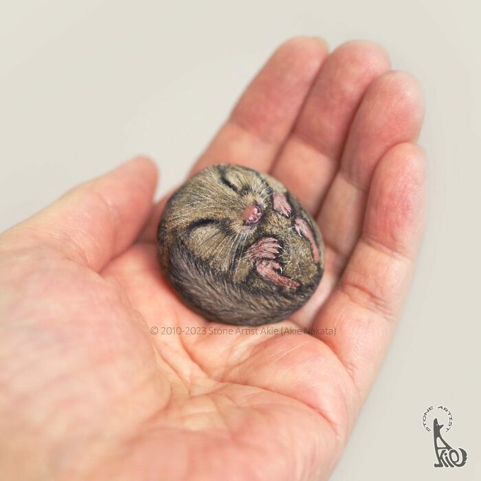 Japanese Artist Turns Rocks Into Cute Little Animals (New Pics)