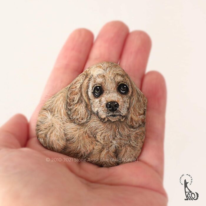 Japanese Artist Turns Rocks Into Cute Little Animals (New Pics)