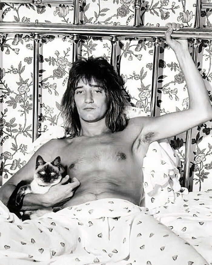 Journalist Rescues 20th-Century Photos Depicting Felines In Various Scenes (61 New Pics)