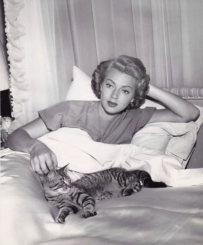 Journalist Rescues 20th-Century Photos Depicting Felines In Various Scenes (61 New Pics)