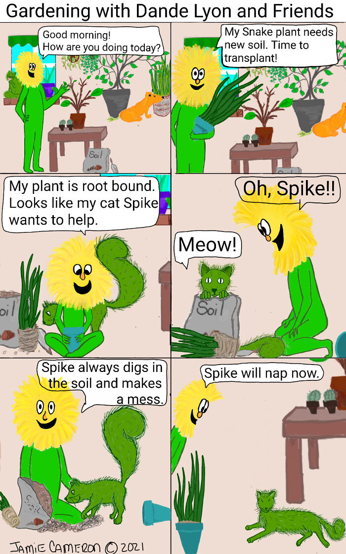 Spike The Cat And The Snake Plant