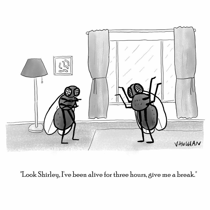 Meet Cartoonist Vaughan Tomlinson's Hilarious Single-Panel Comics