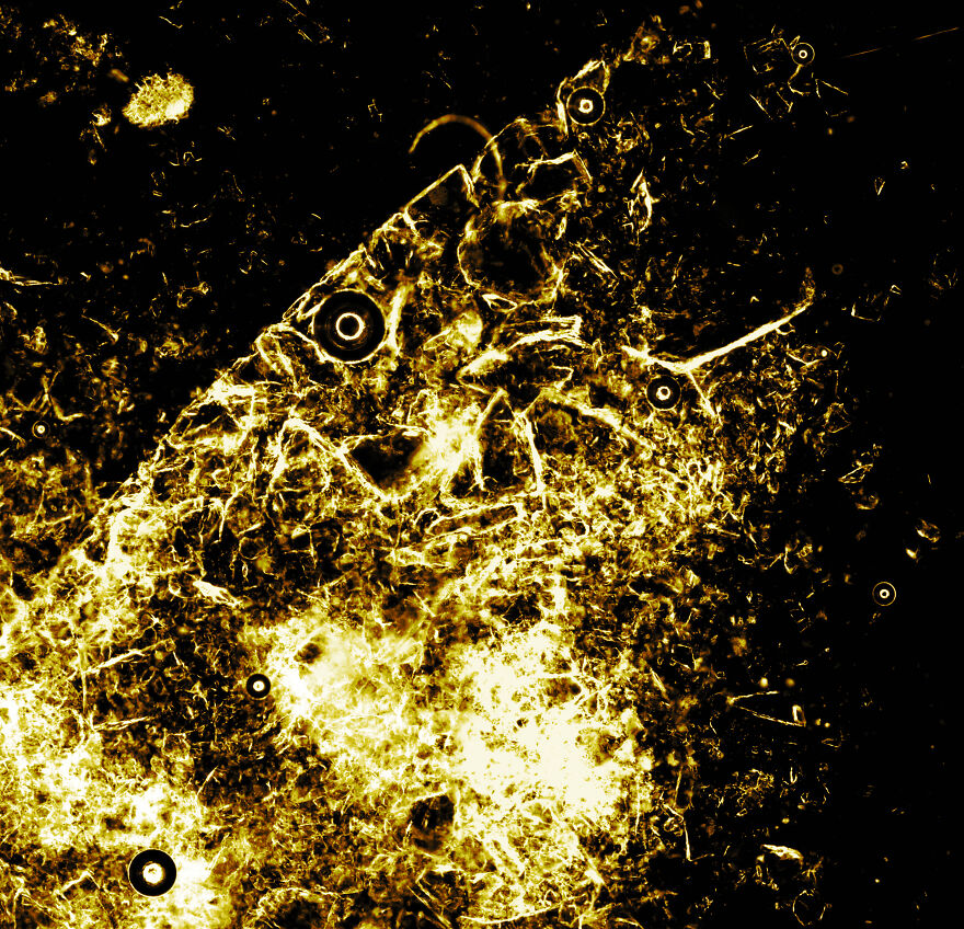 Broken Glass Slide Cover