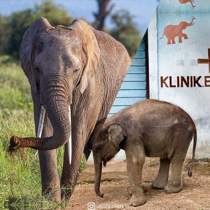 New Works By A Turkish Photographer That Show The Contrasts Of Our Unadorned World