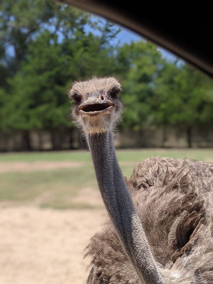 Hello, Have You Heard About The Watch Tower?