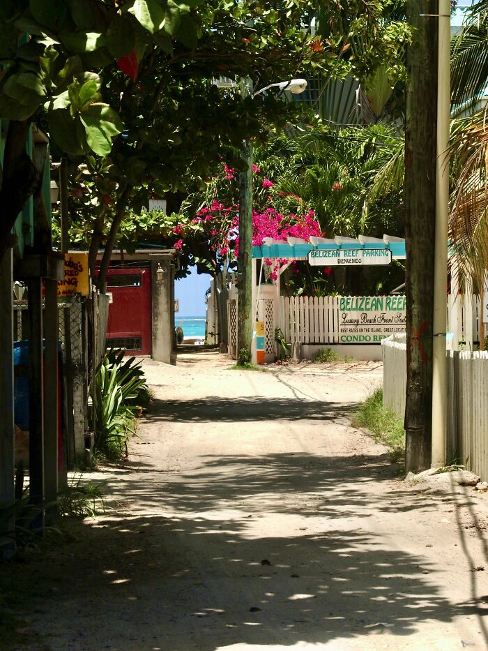 A Path To The Beach In San Pedro, Belize