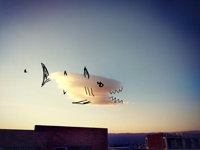 By Natali Burduli (Big Cloud Fish)