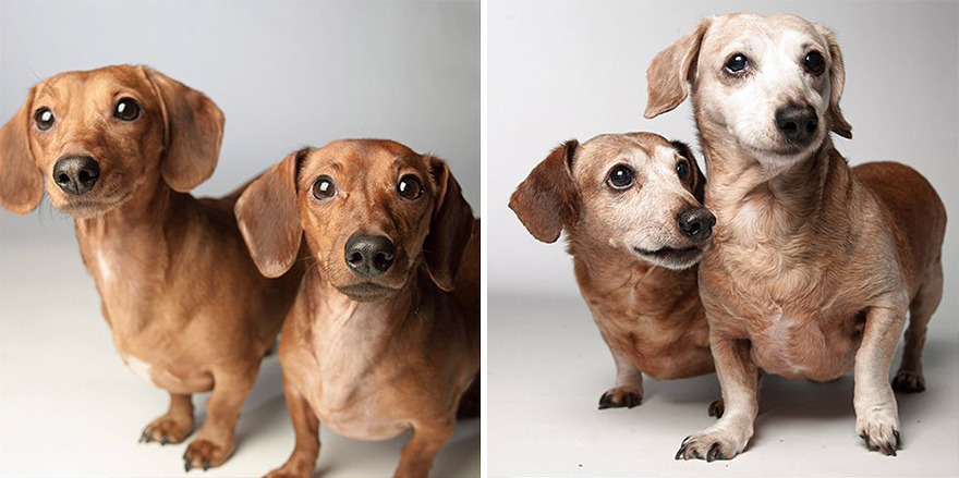 Josie And Albert - 2009 And 2019