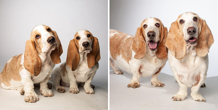 Googie And Impy - 2014 And 2021