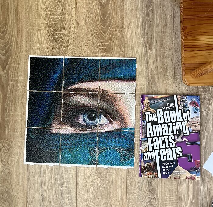 I Created A Photorealistic Fuse Bead Project Out Of 58,482 Beads