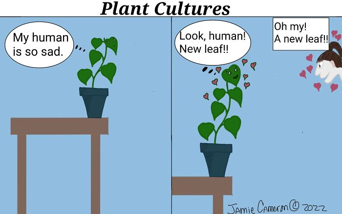 Emotional Support Plants