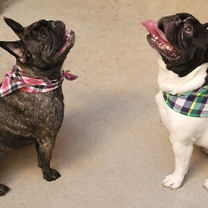 lydiamfernandes avatar