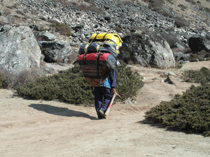 Spending 12 Days Trekking To Everest Base Camp With The Joyful Presence Of A Four-Legged Friend (8 Pics)
