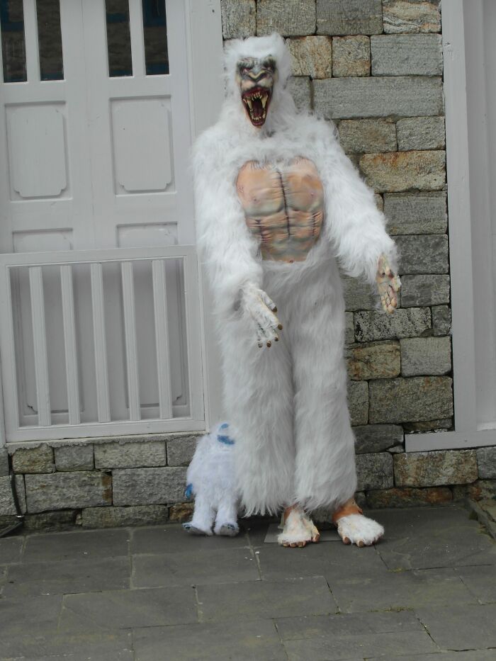 Spending 12 Days Trekking To Everest Base Camp With The Joyful Presence Of A Four-Legged Friend (8 Pics) Spending 12 Days Trekking To Everest Base Camp With The Joyful Presence Of A Four-Legged Friend (8 Pics)