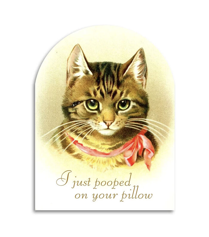 30 Hilarious Vintage Inspired Greeting Cards