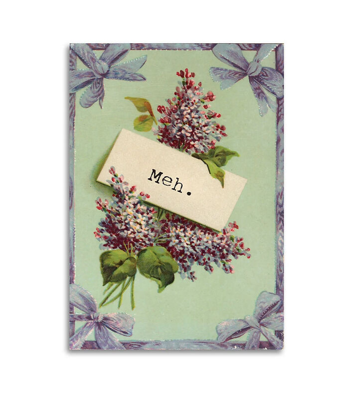 30 Hilarious Vintage Inspired Greeting Cards