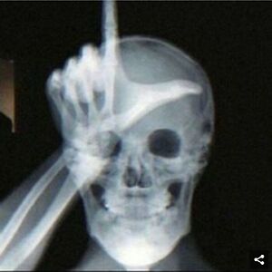 coreywhitlock avatar